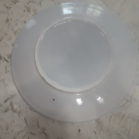 Serving Plate Larger size over 14 inches for holiday or winter use or other need - Picture 3 of 3